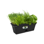 green basics trough mini allin1 30cm living black